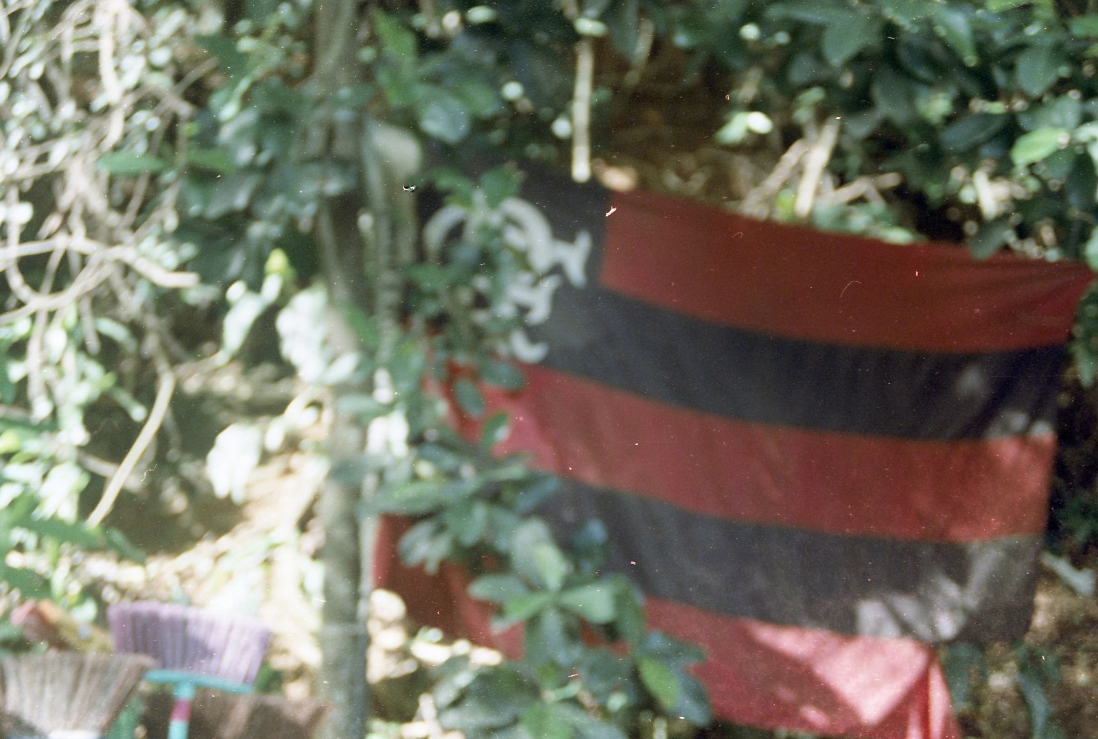 bandeira