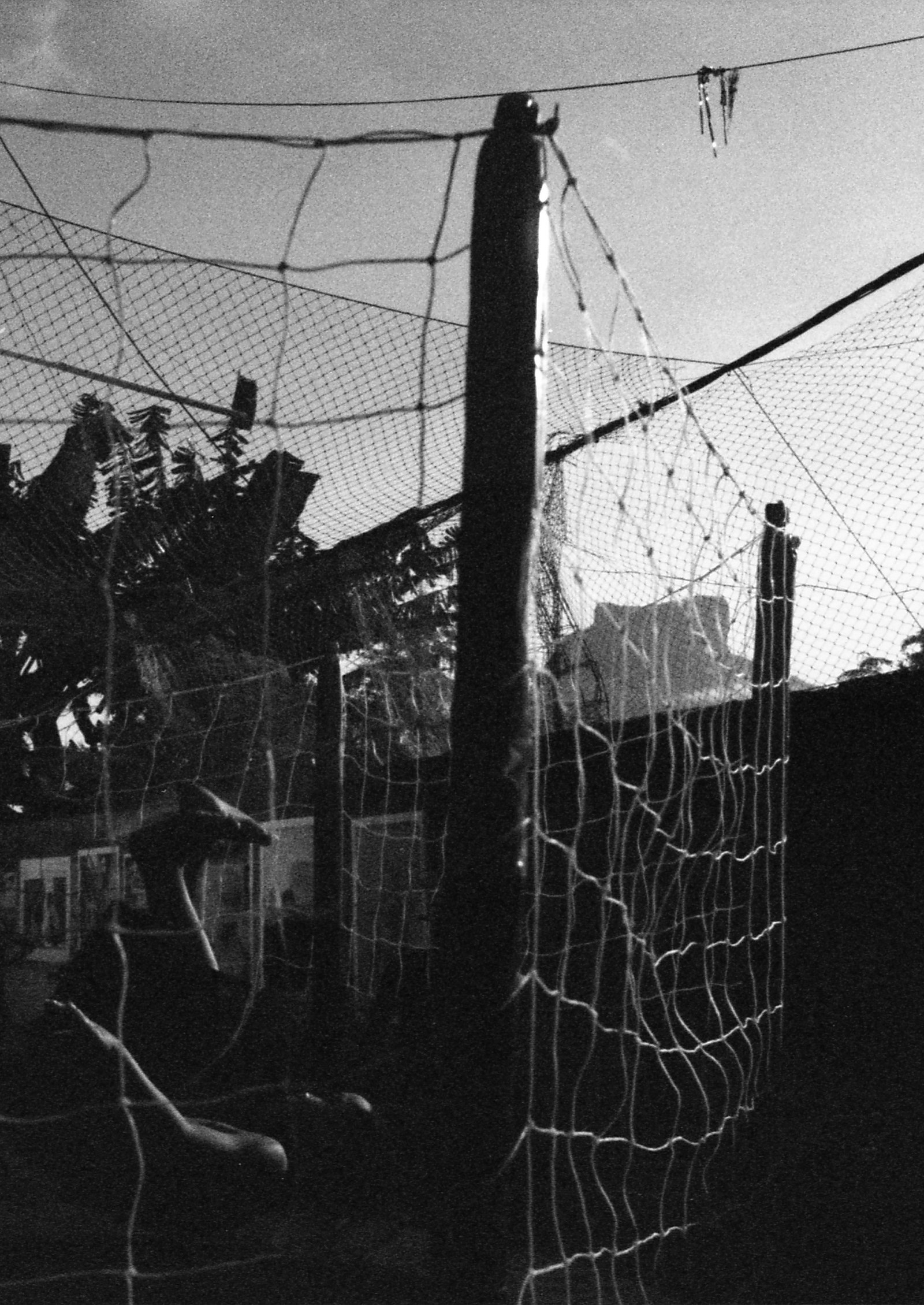 viver é um luxo · os crias da tl, 2025 — foto de la exposición