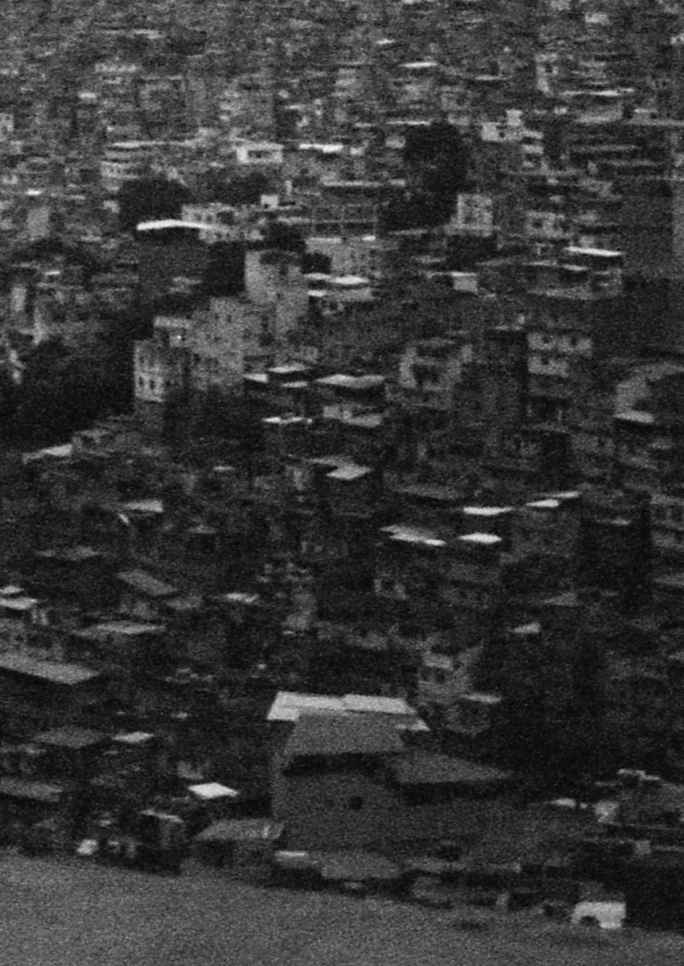 viver é um luxo · os crias da tl, 2025 — foto de la exposición