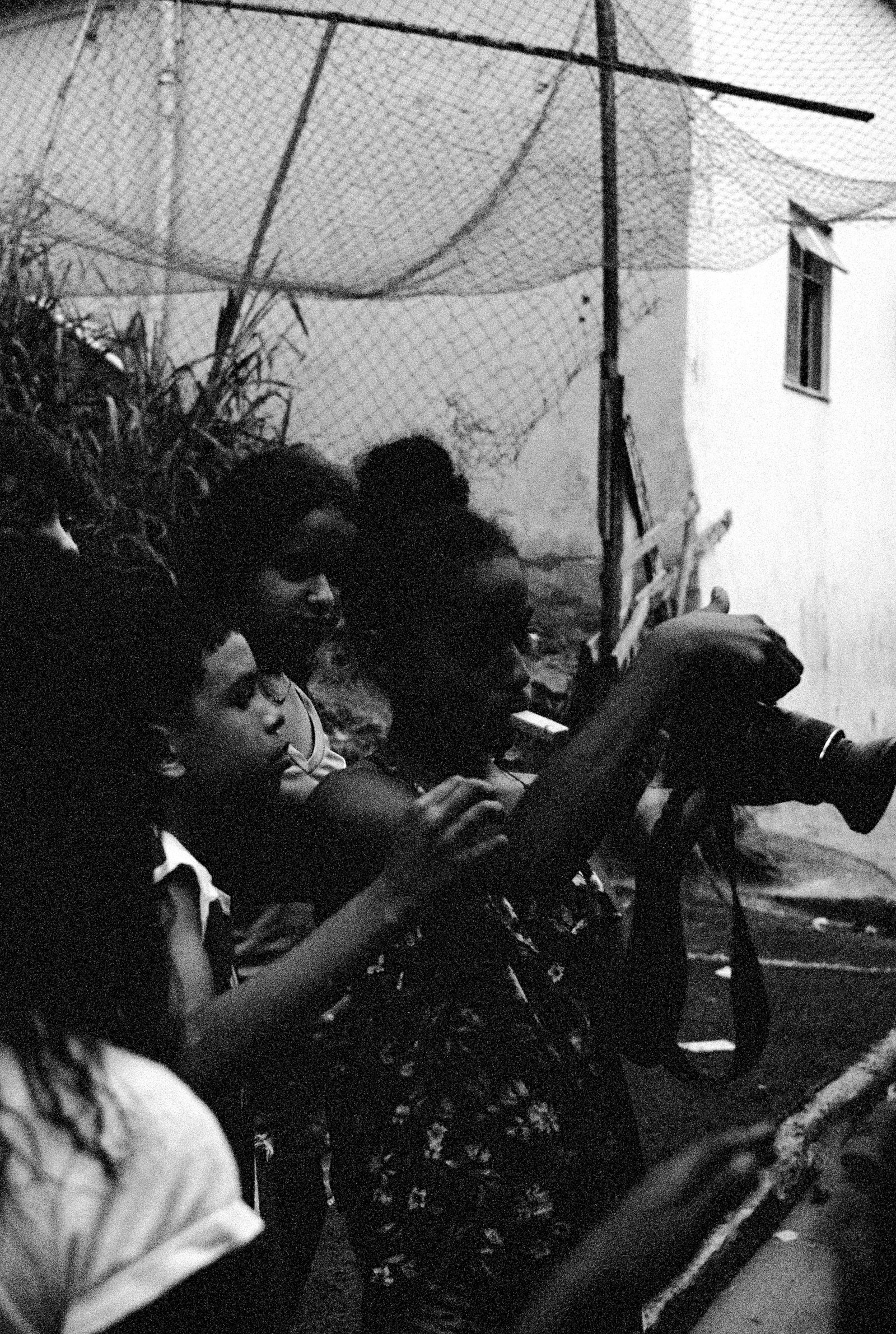 viver é um luxo · os crias da tl, 2025 — foto de la exposición