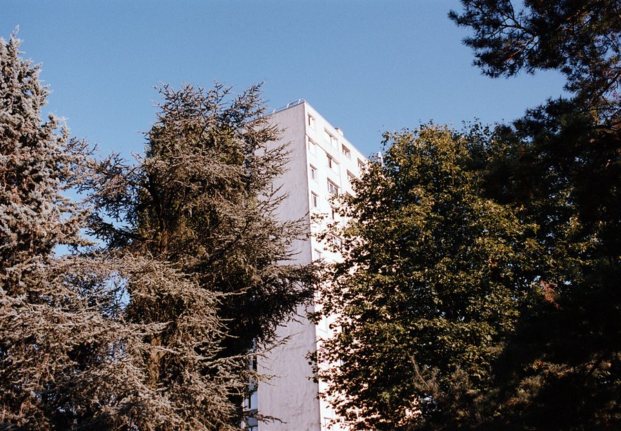 os menor da rua 4, 2025–2026 — photo de l’exposition