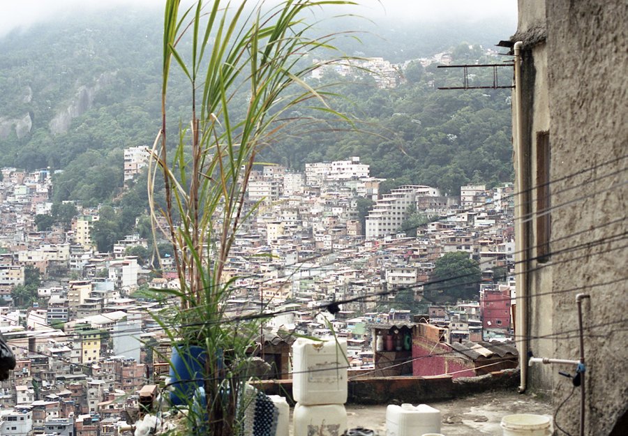 os menor da rua 4, 2025–2026 — photo de l’exposition