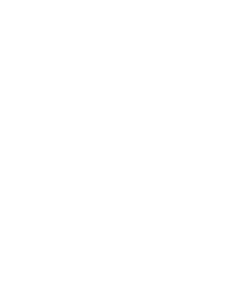 REF Rocinha